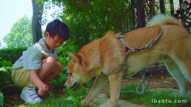 快乐的小男孩和宠物狗<strong>玩耍</strong>